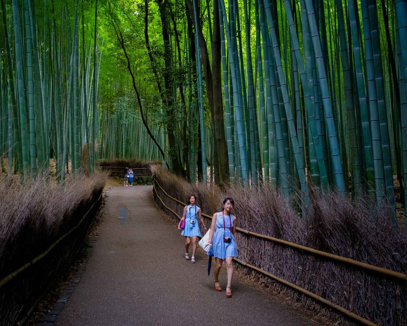 Kyoto, Japan
